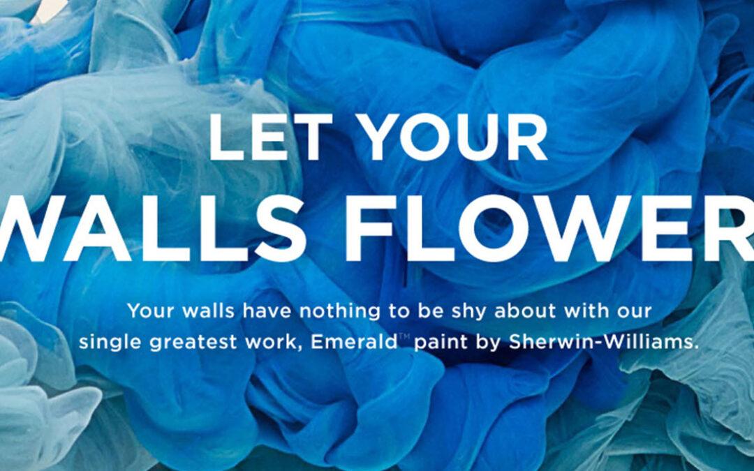 The Ultimate Guide to Sherwin Williams Emerald Paint: Why Re Color by Delgrange Exclusively Uses It