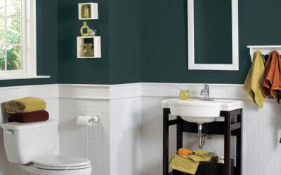 Bathroom Makeovers Start with Re Color By Delagrange
