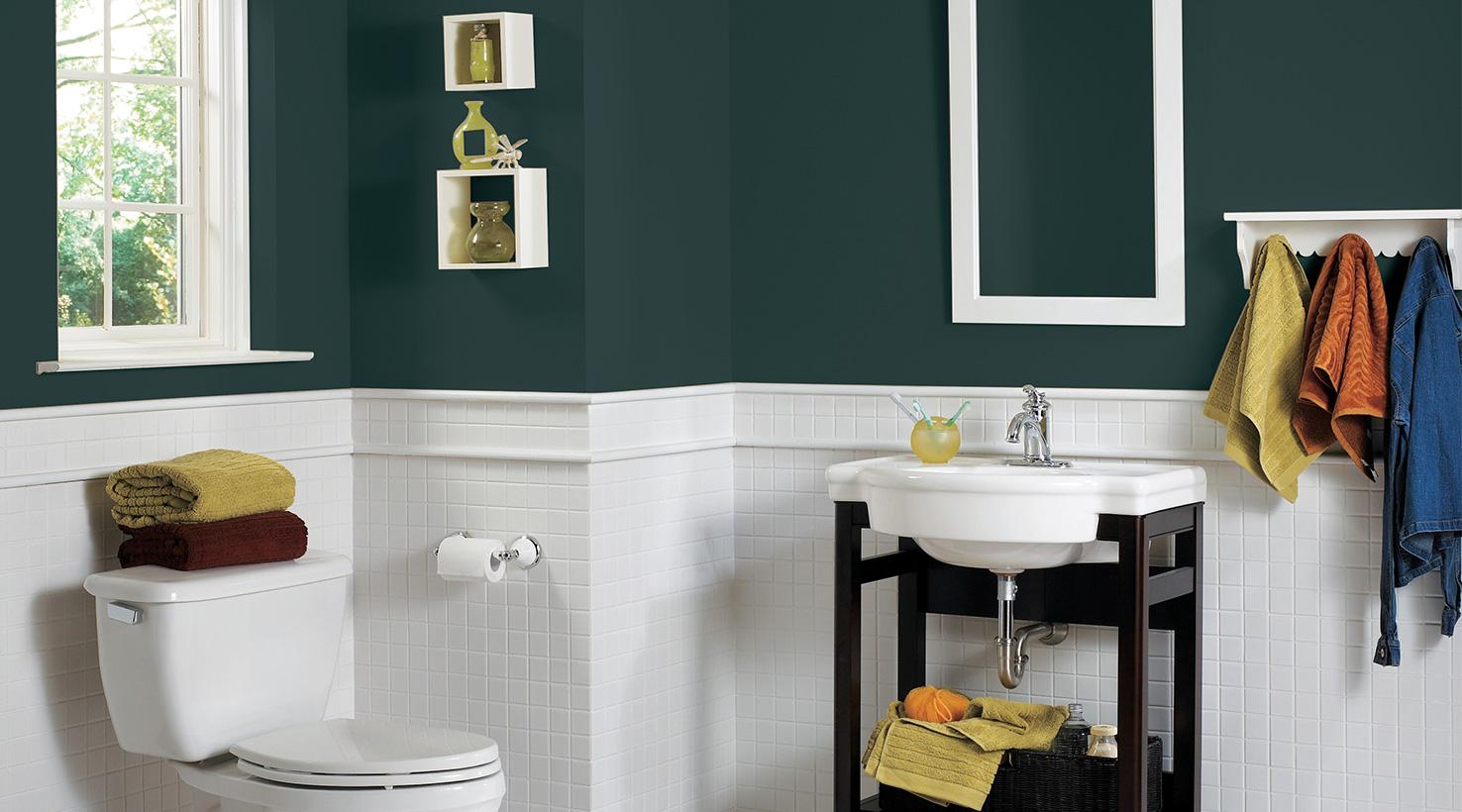 Sherwin Williams bathroom Re Color by Delagrange